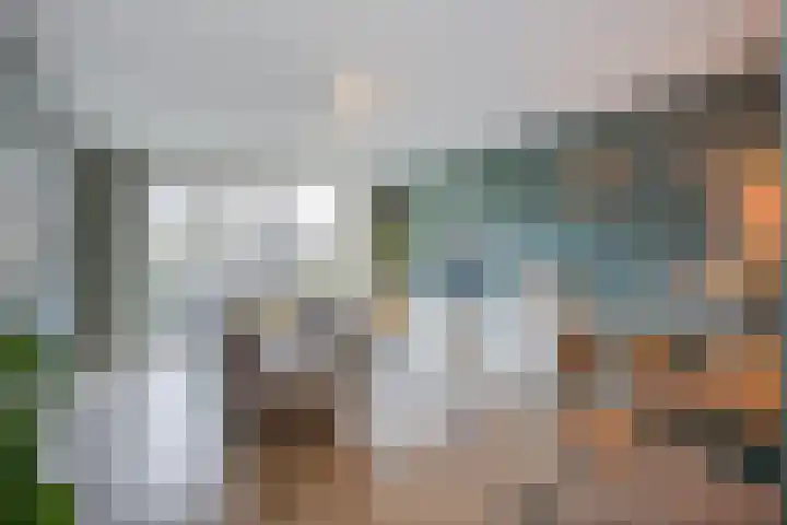 Vliegend Hert 29 Oegstgeest thumbnail 10
