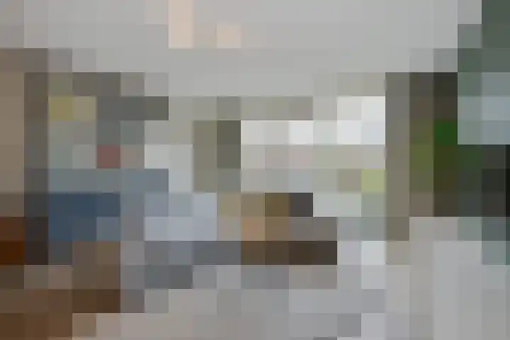 Vliegend Hert 29 Oegstgeest thumbnail 11