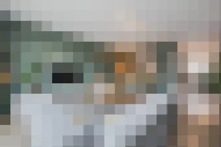 Vliegend Hert 29 Oegstgeest thumbnail 13