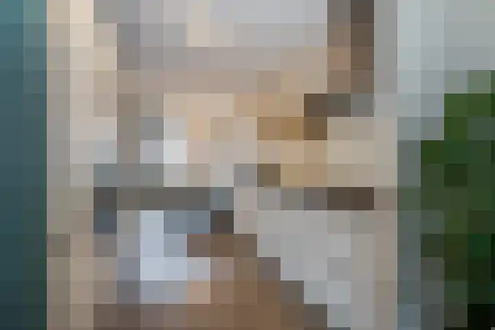 Vliegend Hert 29 Oegstgeest thumbnail 16