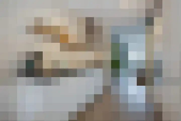 Vliegend Hert 29 Oegstgeest thumbnail 22