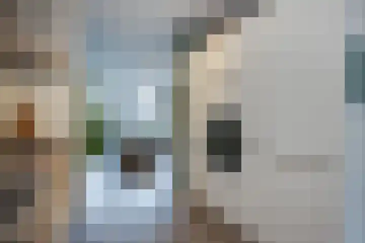 Vliegend Hert 29 Oegstgeest thumbnail 23