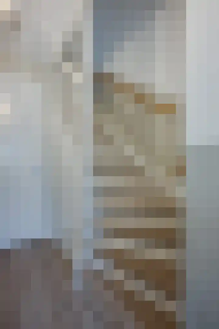 Vliegend Hert 29 Oegstgeest thumbnail 25