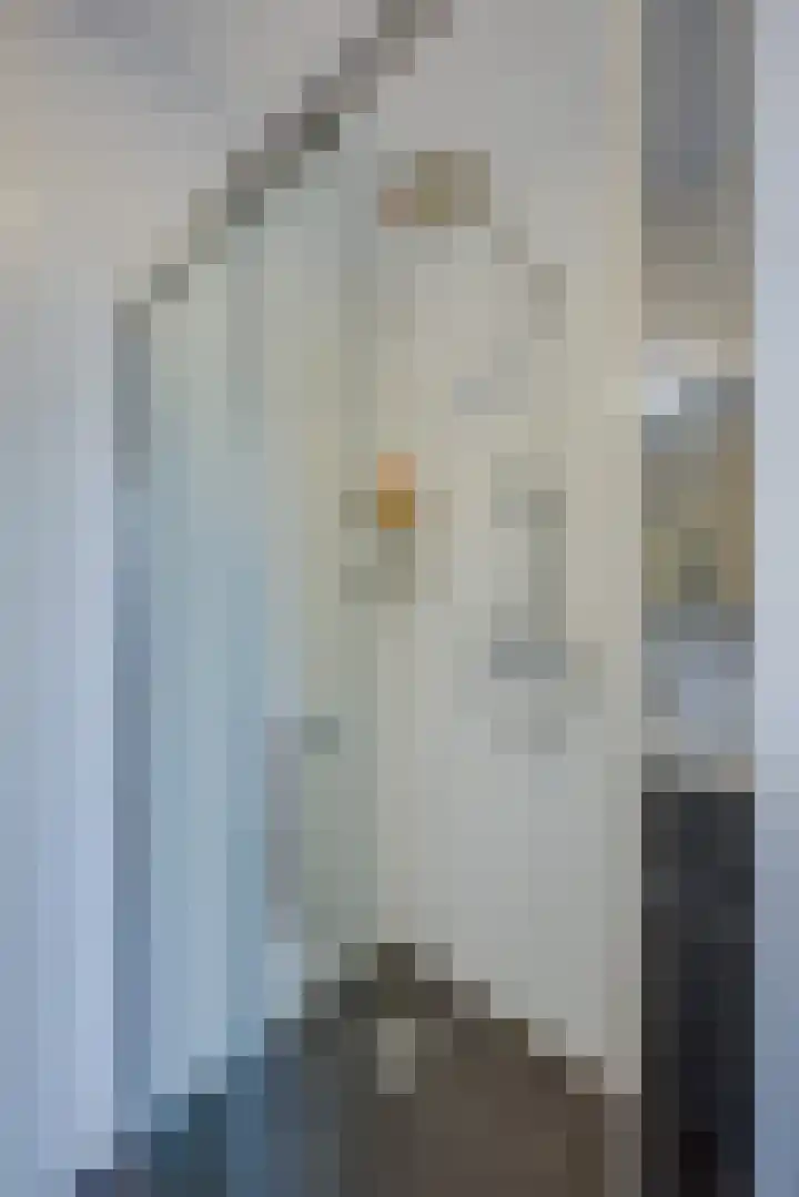 Vliegend Hert 29 Oegstgeest thumbnail 33