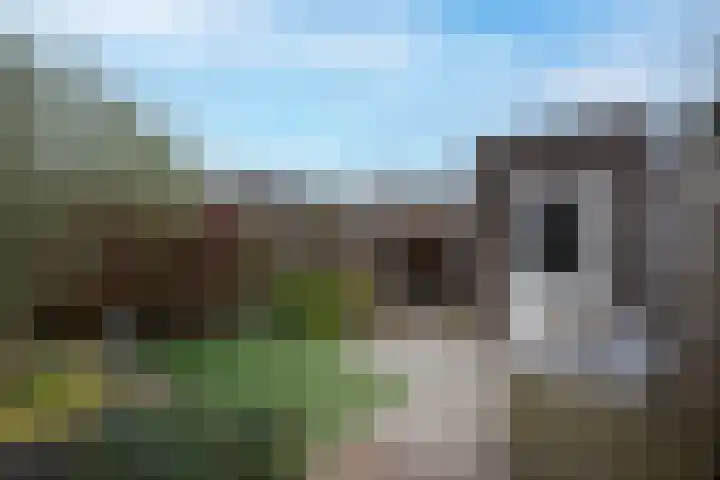 Vliegend Hert 29 Oegstgeest thumbnail 45