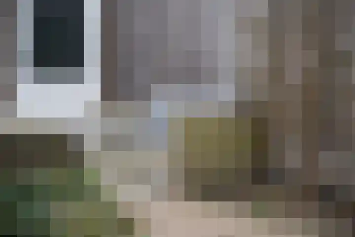 Vliegend Hert 29 Oegstgeest thumbnail 47