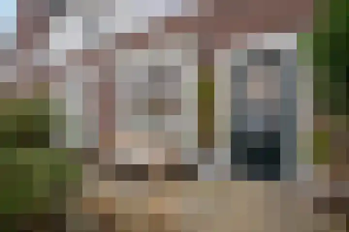 Vliegend Hert 29 Oegstgeest thumbnail 5