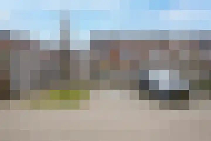 Vliegend Hert 29 Oegstgeest thumbnail 50