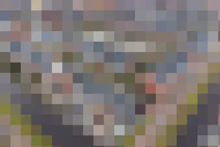 Vliegend Hert 29 Oegstgeest thumbnail 53