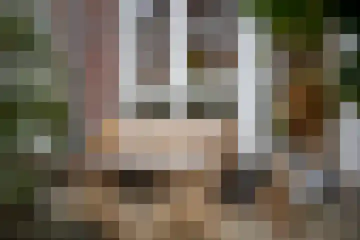 Vliegend Hert 29 Oegstgeest thumbnail 6