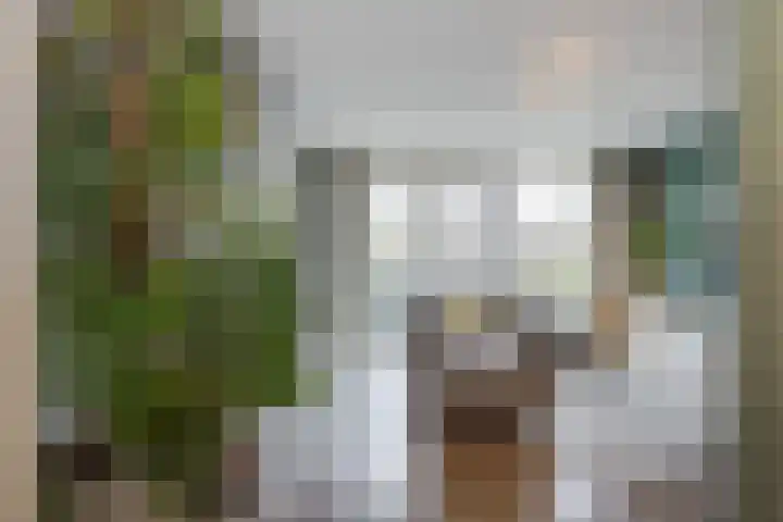 Vliegend Hert 29 Oegstgeest thumbnail 9
