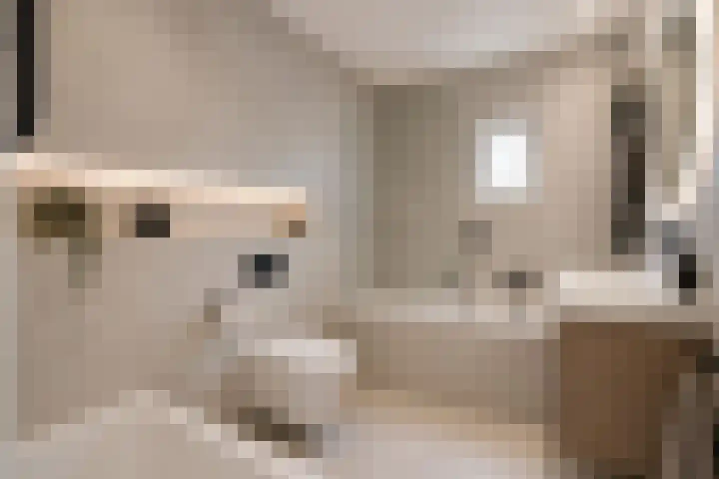 Vliegende Koffer 14 Eindhoven thumbnail 8