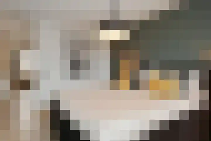 Vliegende Koffer 17 Eindhoven thumbnail 14