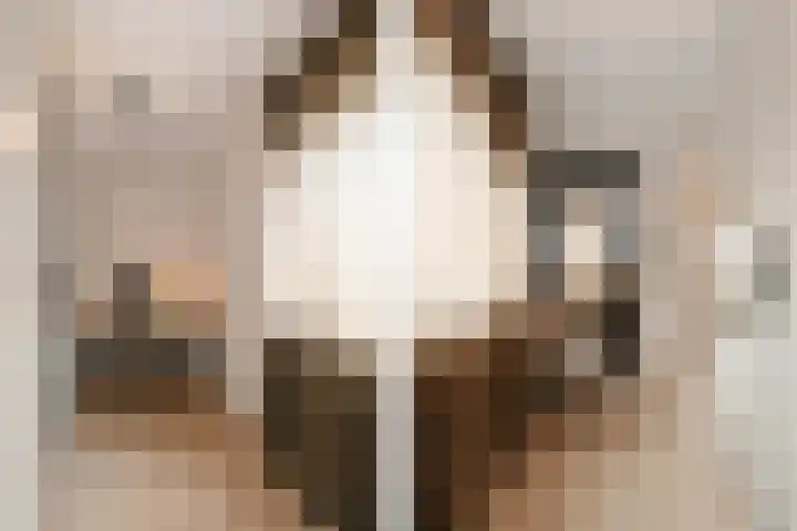 Vliegende Koffer 17 Eindhoven thumbnail 15