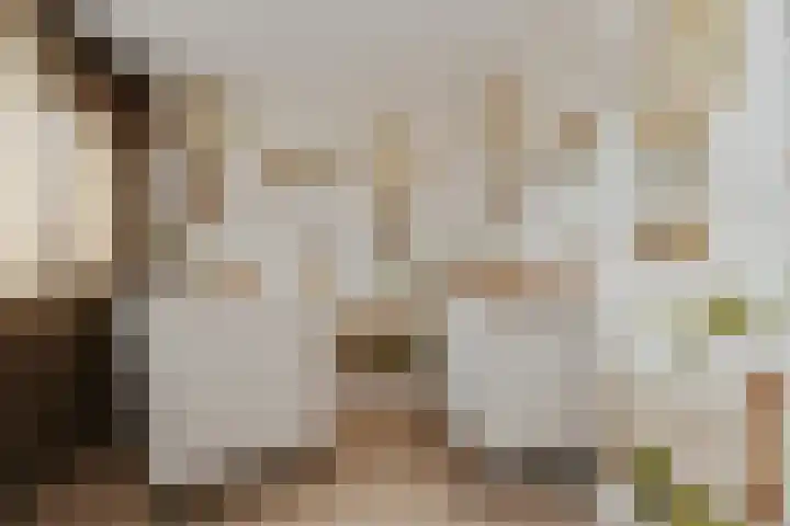 Vliegende Koffer 17 Eindhoven thumbnail 19