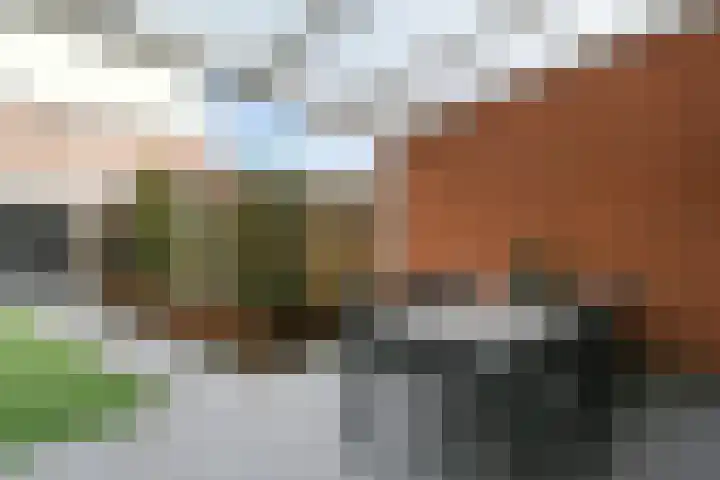 Vliegende Koffer 17 Eindhoven thumbnail 20