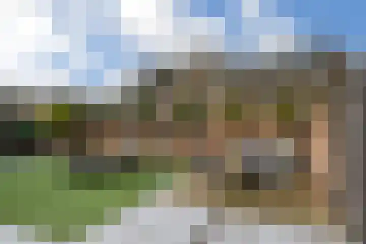 Vliegende Koffer 17 Eindhoven thumbnail 25