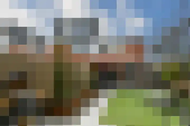 Vliegende Koffer 17 Eindhoven thumbnail 26