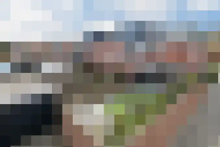 Vliegende Koffer 17 Eindhoven thumbnail 28