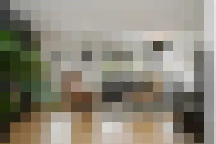 Vliegende Koffer 17 Eindhoven thumbnail 4