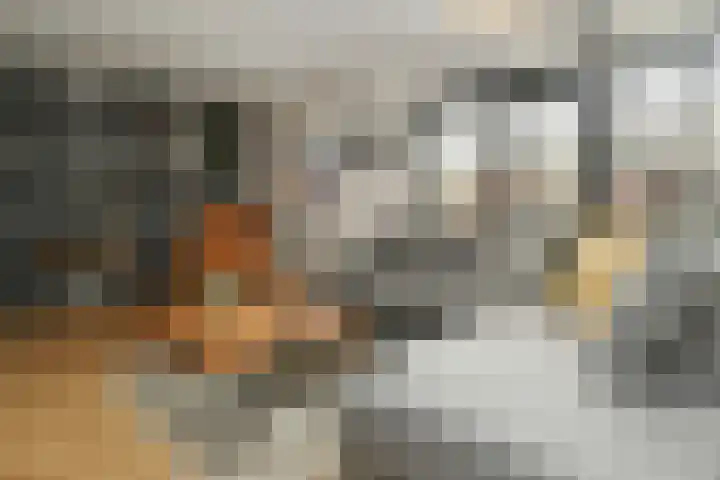 Vliegende Koffer 17 Eindhoven thumbnail 6