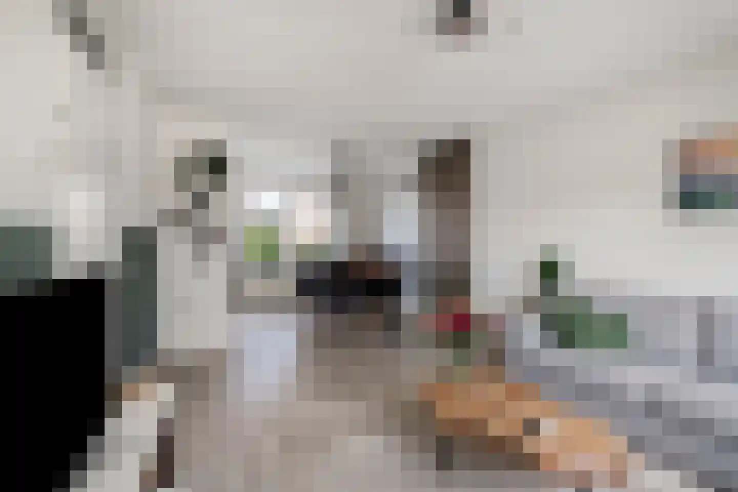 Vliegende Koffer 22 Eindhoven thumbnail 11