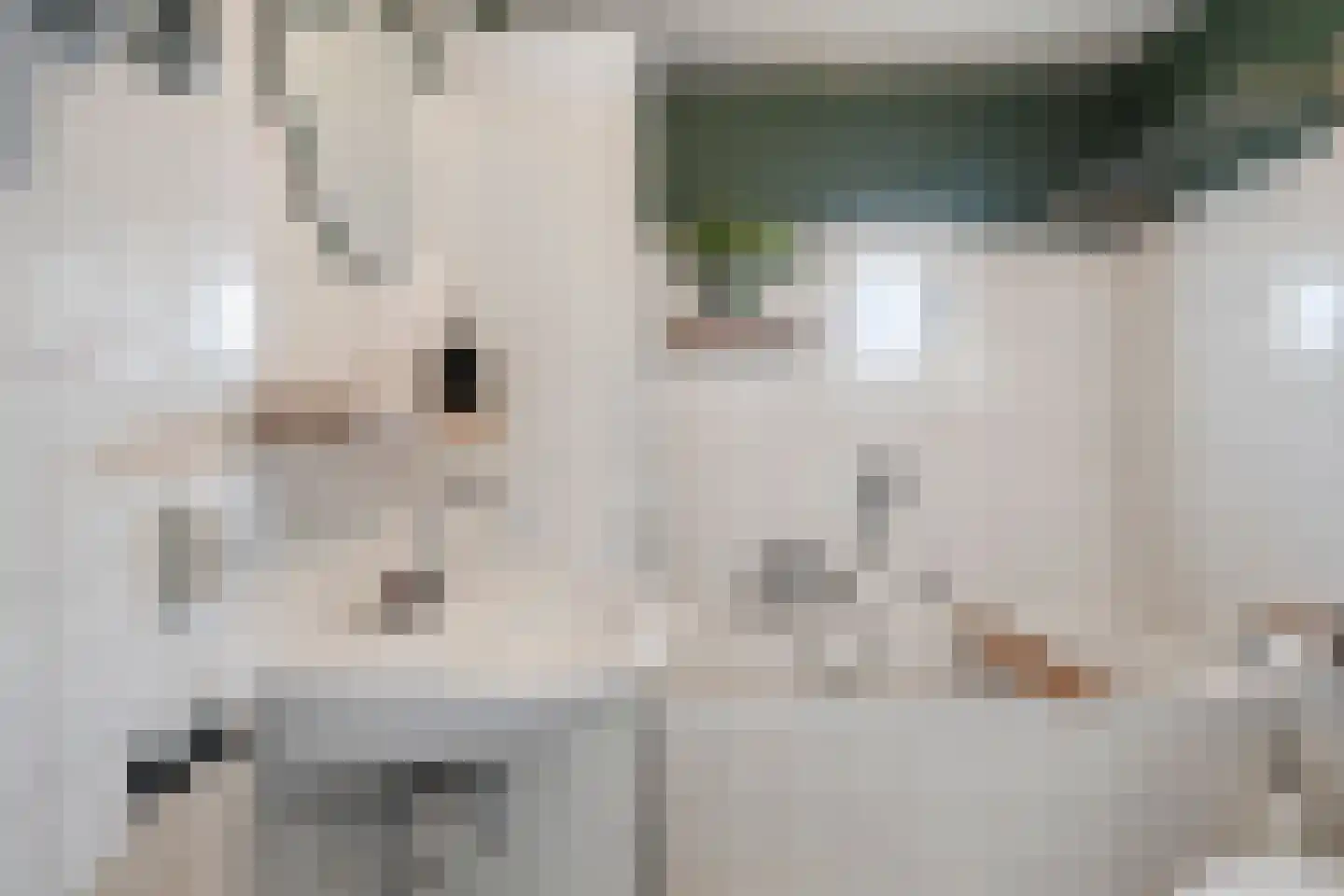 Vliegende Koffer 22 Eindhoven thumbnail 22