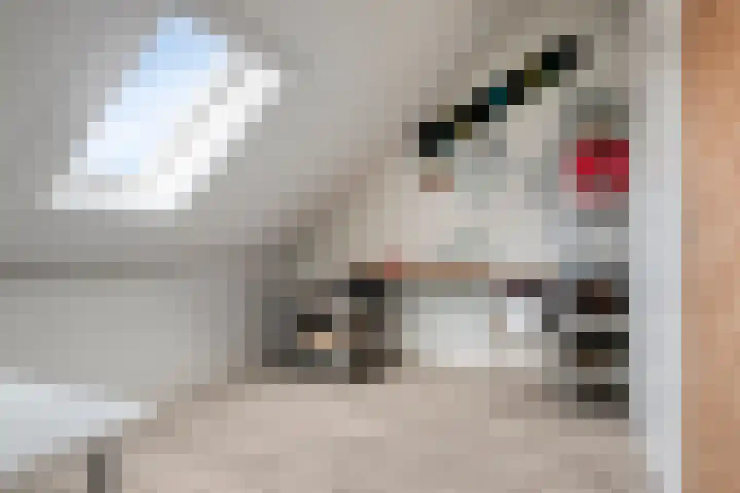 Vliegende Koffer 22 Eindhoven thumbnail 30