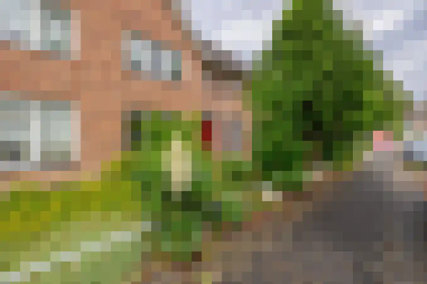 Vliegende Koffer 8 Eindhoven thumbnail 37