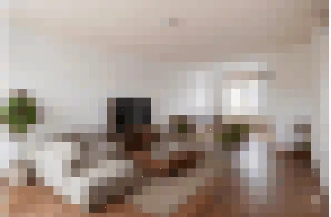 Vliegende Koffer 8 Eindhoven thumbnail 9
