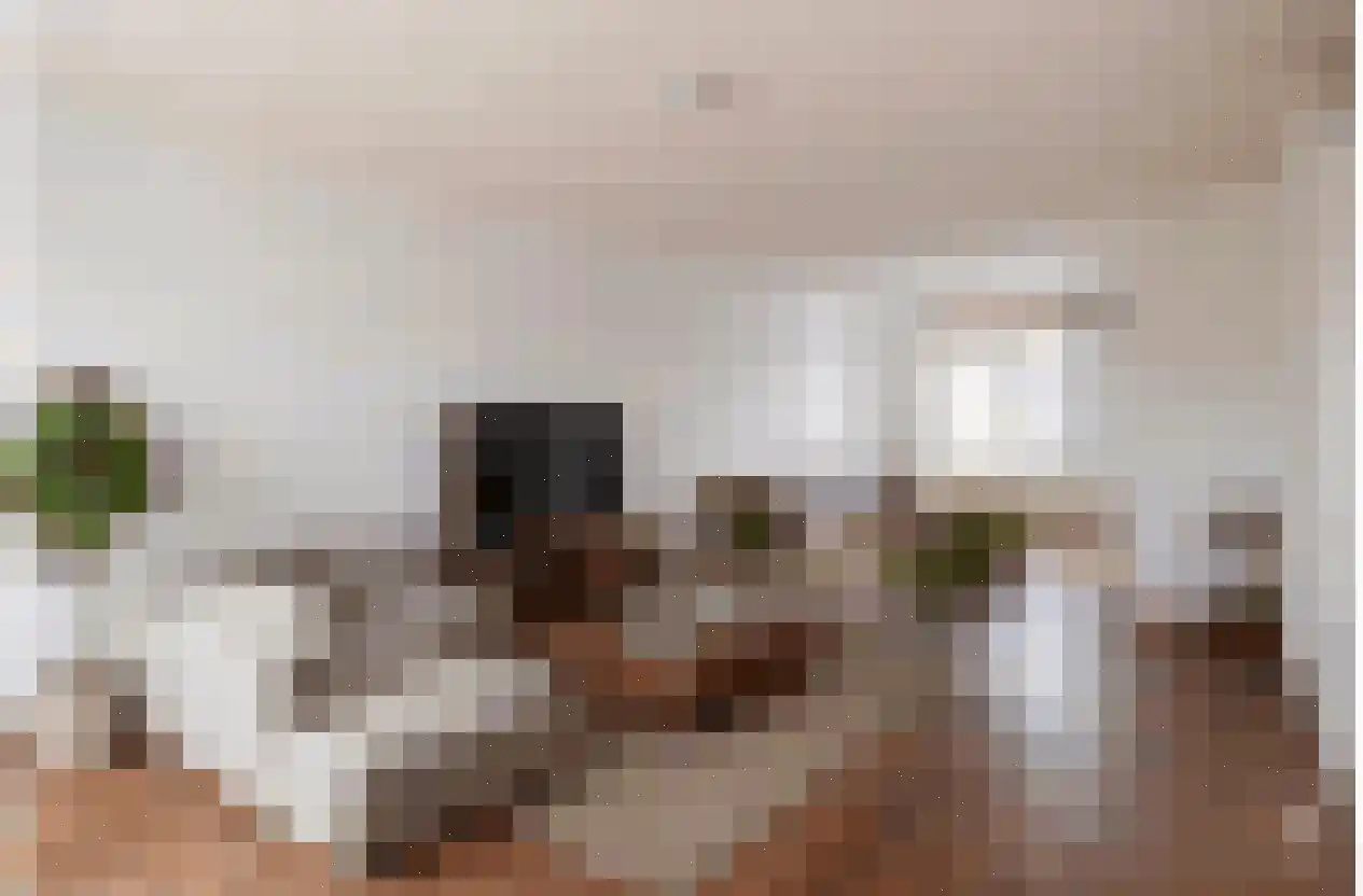 Vliegende Koffer 8 Eindhoven thumbnail 9
