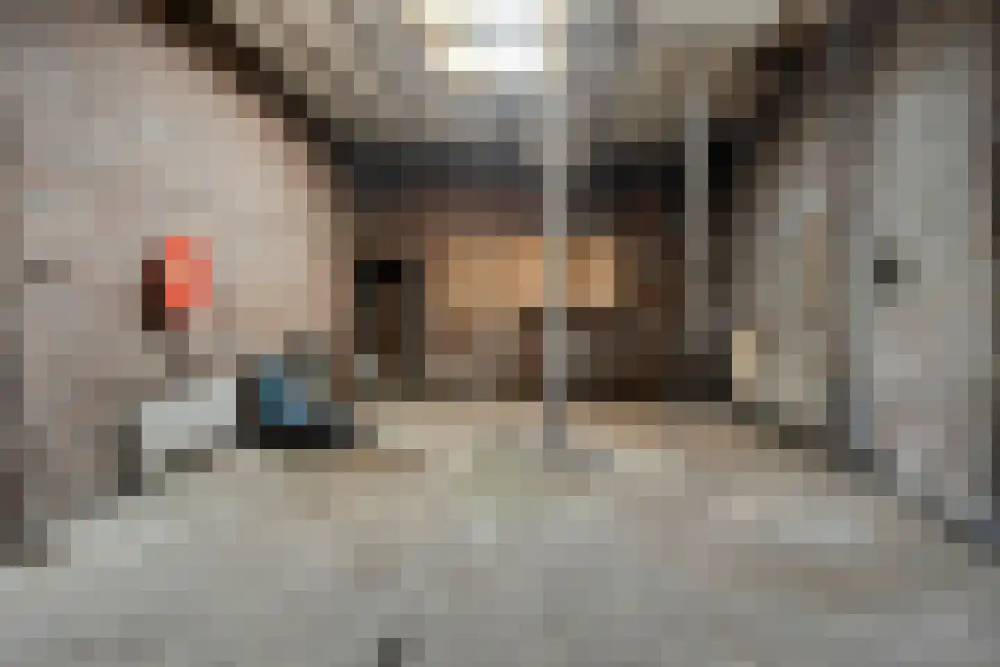 Vliegendijk 2 Zutphen thumbnail 37