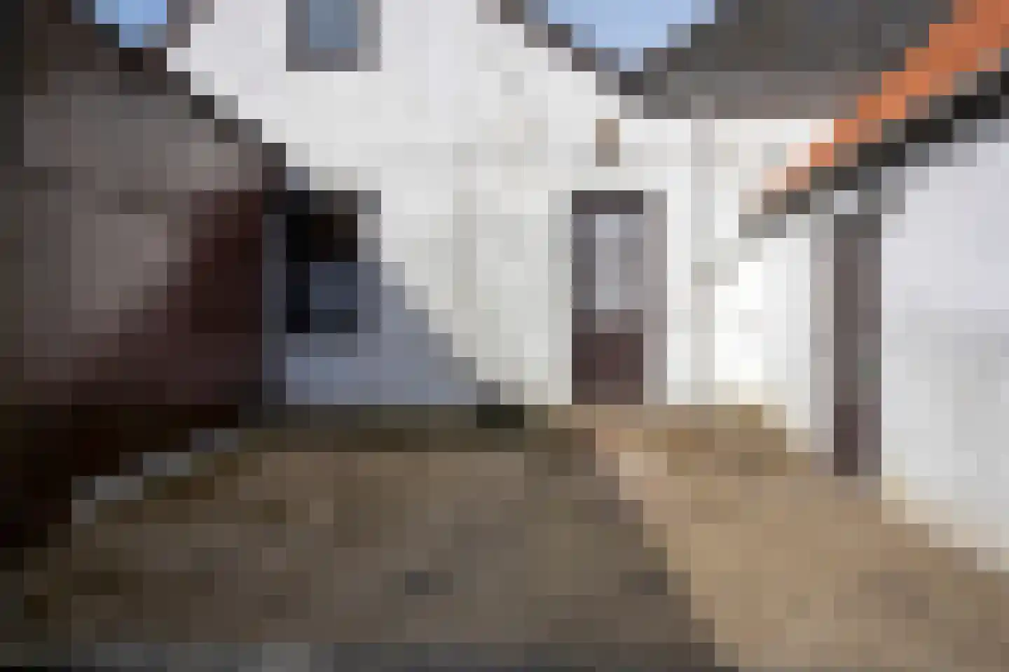 Vliegendijk 2 Zutphen thumbnail 46