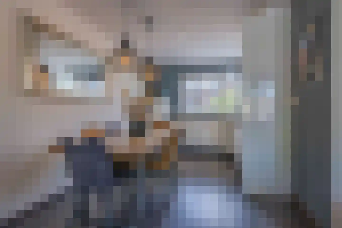 Vliegeniersweg 63 Sassenheim thumbnail 10