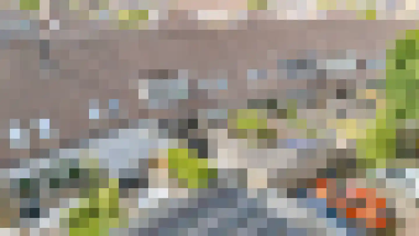 Vliegeniersweg 63 Sassenheim thumbnail 17