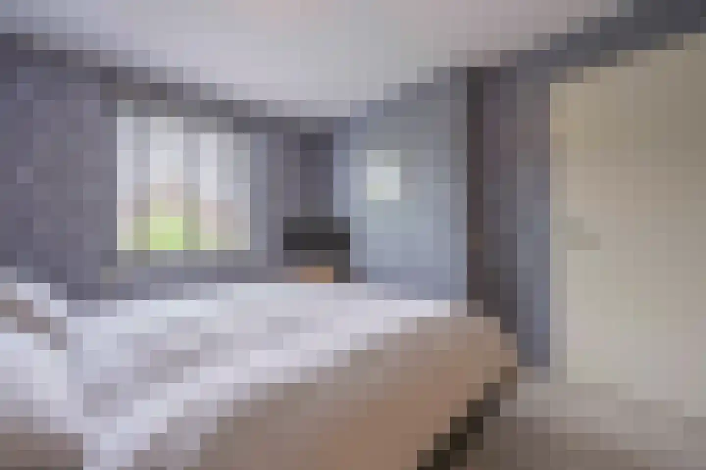 Vliegeniersweg 63 Sassenheim thumbnail 26