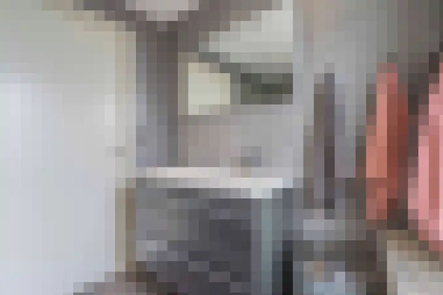 Vliegeniersweg 63 Sassenheim thumbnail 30