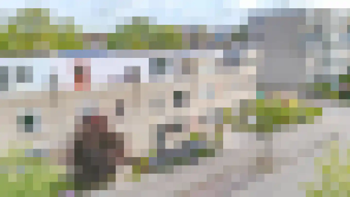 Vliegeniersweg 63 Sassenheim thumbnail 44