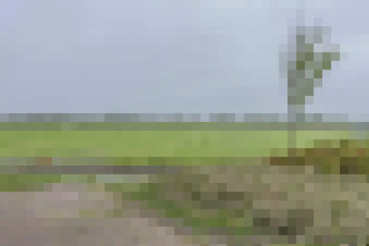 Vliegeniersweg 63 Sassenheim thumbnail 48