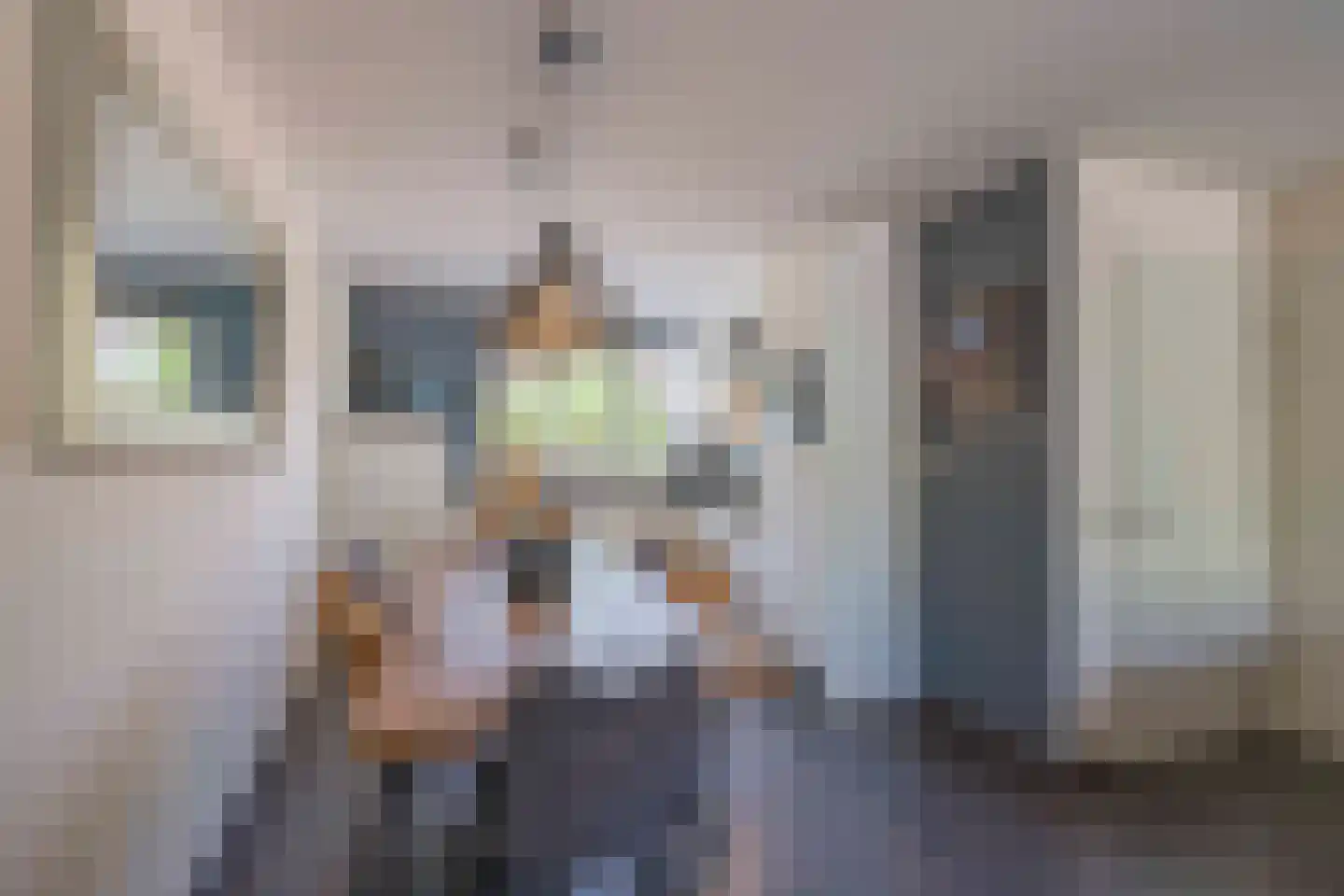 Vliegeniersweg 63 Sassenheim thumbnail 5