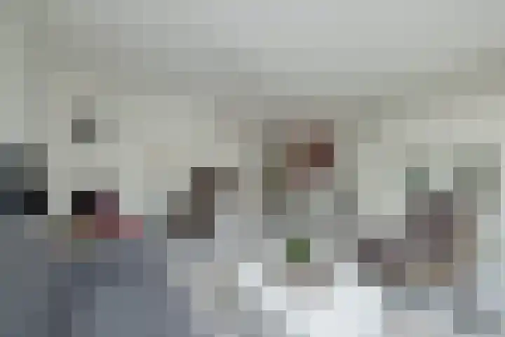 Vliegeniersweg 65 Sassenheim thumbnail 10