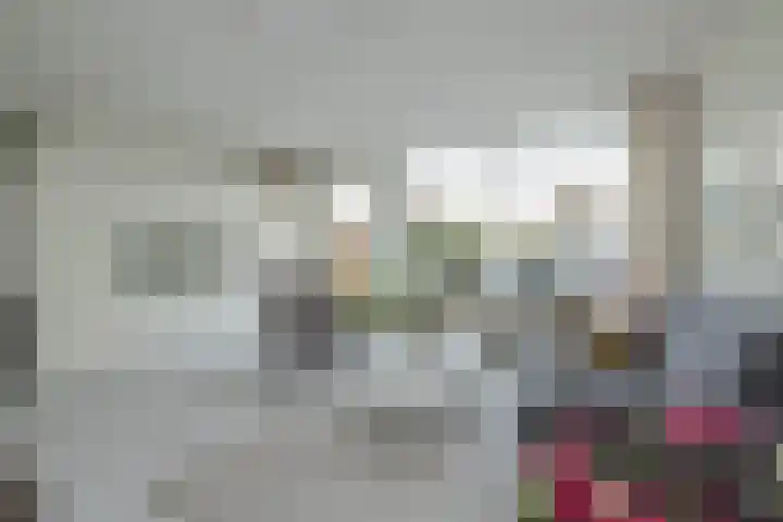 Vliegeniersweg 65 Sassenheim thumbnail 11