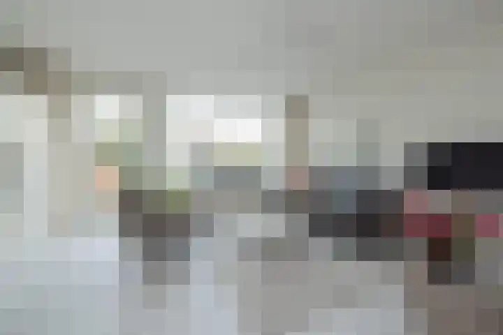 Vliegeniersweg 65 Sassenheim thumbnail 12