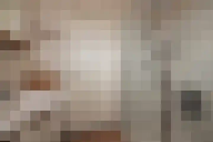 Vliegeniersweg 65 Sassenheim thumbnail 18