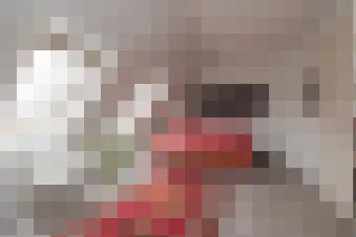 Vliegeniersweg 65 Sassenheim thumbnail 22