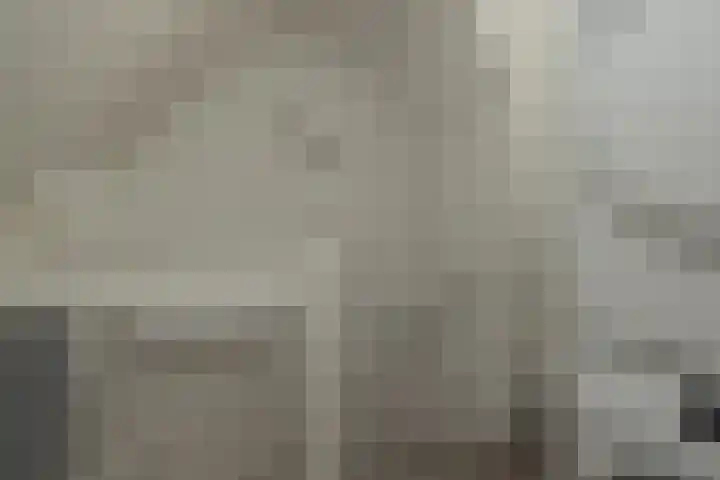 Vliegeniersweg 65 Sassenheim thumbnail 23