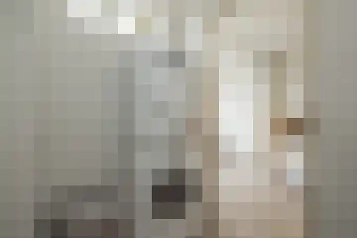 Vliegeniersweg 65 Sassenheim thumbnail 24