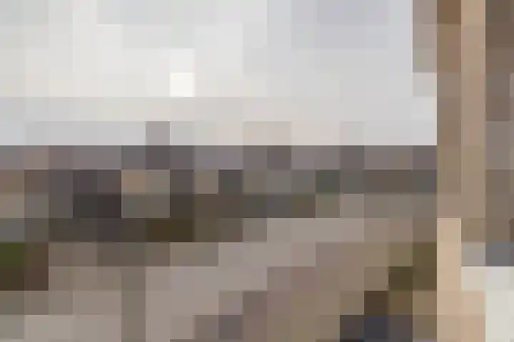Vliegeniersweg 65 Sassenheim thumbnail 31