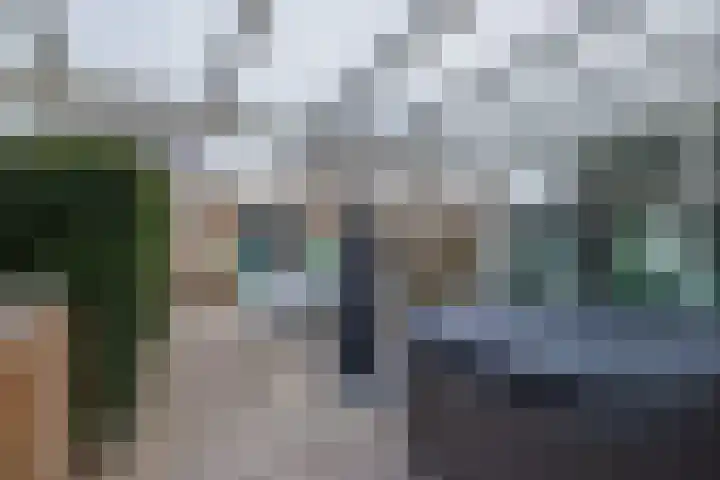 Vliegeniersweg 65 Sassenheim thumbnail 35