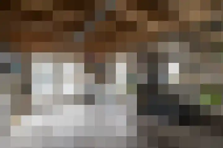 Vliegeniersweg 65 Sassenheim thumbnail 38